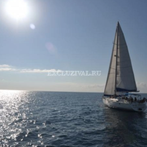 Bavaria 44